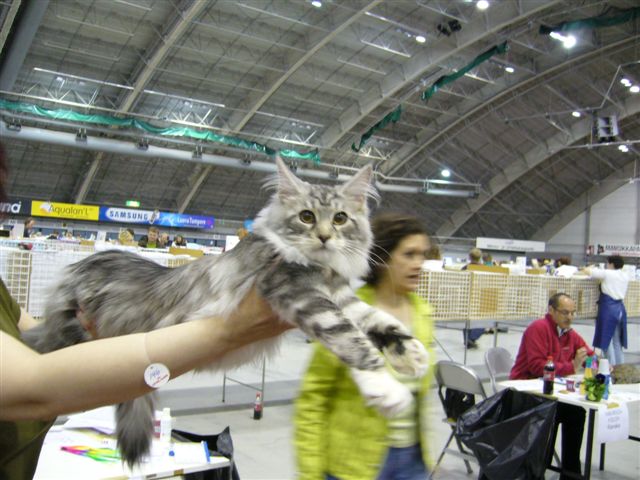 Kuva 18.9.07 127.jpg